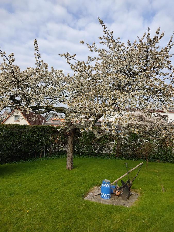 Ferienwohnung Ostseestrandlaeufer 2 Zingst Exteriér fotografie